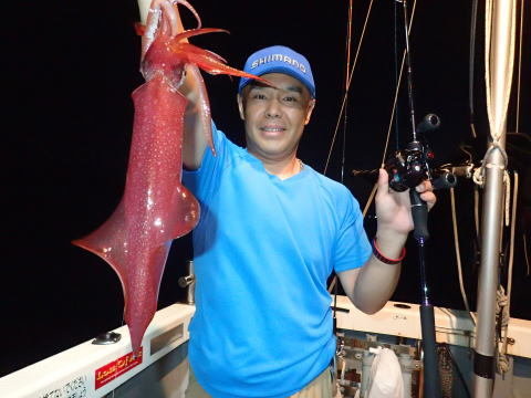 シロイカ(ケンサキイカ)