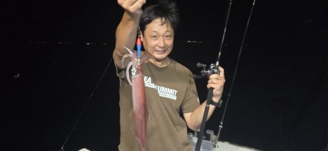 アカイカ(ケンサキイカ)