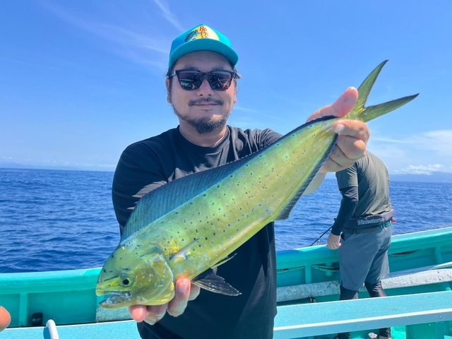 ペンペン(シイラ)