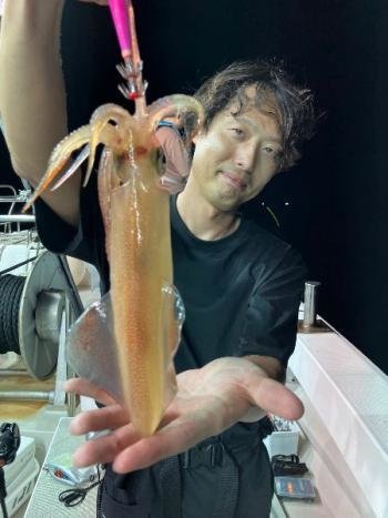 マイカ(ケンサキイカ)