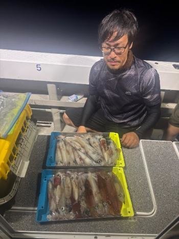 マイカ(ケンサキイカ)