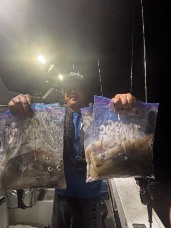 マイカ(ケンサキイカ)