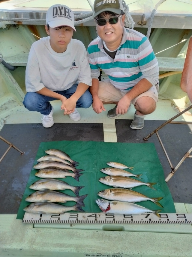 マアジ・イサキ・マサバ