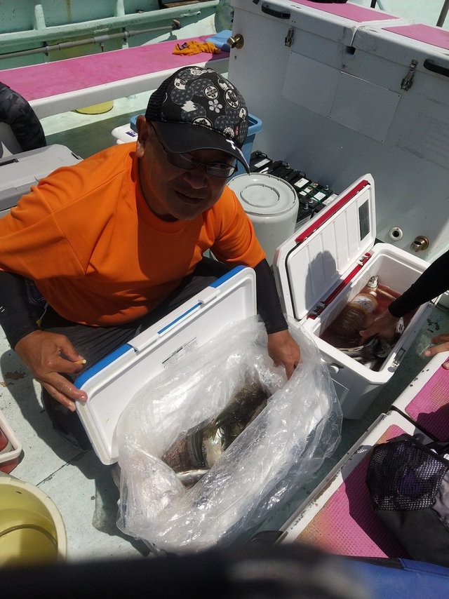 アジ(マアジ)・イサキ