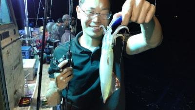 マイカ(ケンサキイカ)