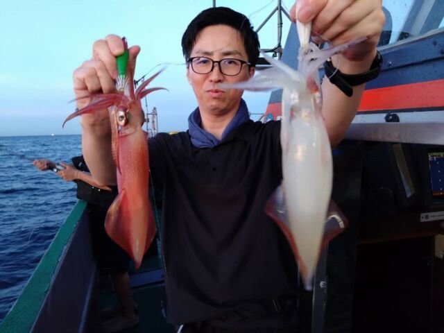 イカ(ヤリイカ)