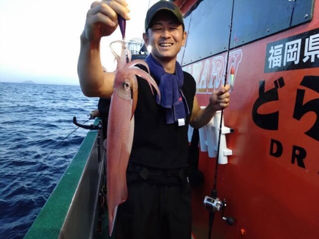 イカ(ヤリイカ)