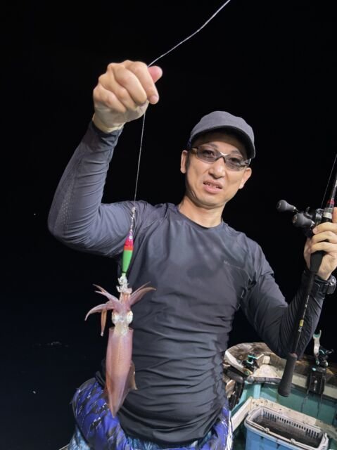 マイカ(ケンサキイカ)