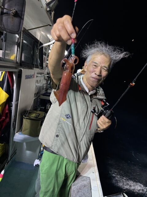 マイカ(ケンサキイカ)