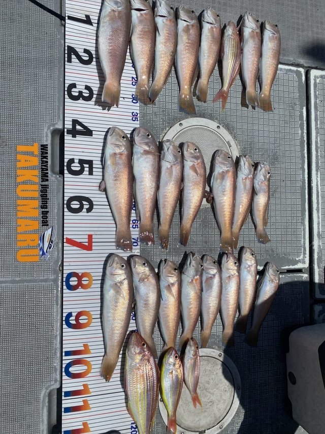 シロアマダイ・イトヨリ(イトヨリダイ)