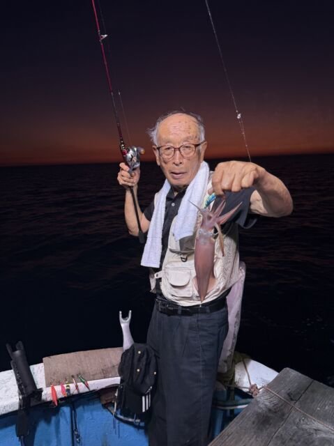 マイカ(ケンサキイカ)