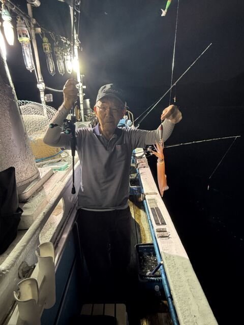 マイカ(ケンサキイカ)