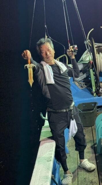 マイカ(ケンサキイカ)