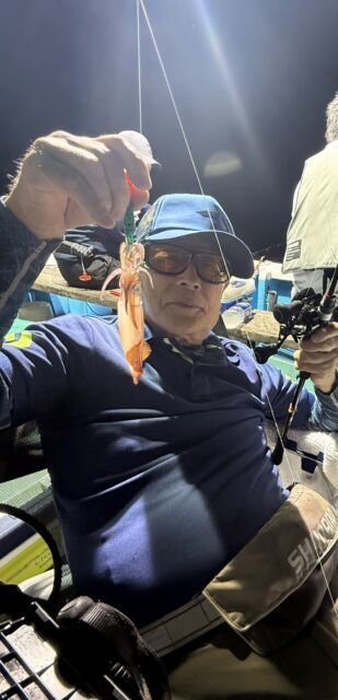 マイカ(ケンサキイカ)