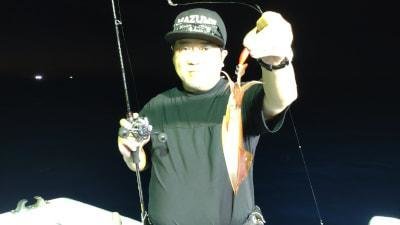 マイカ(ケンサキイカ)