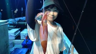 マイカ(ケンサキイカ)