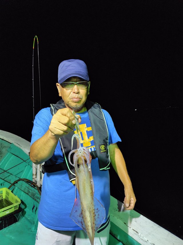 シロイカ(ケンサキイカ)