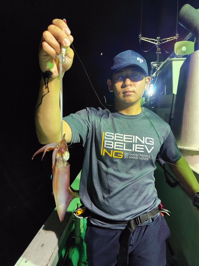 シロイカ(ケンサキイカ)