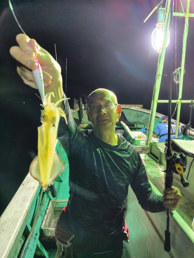 シロイカ(ケンサキイカ)