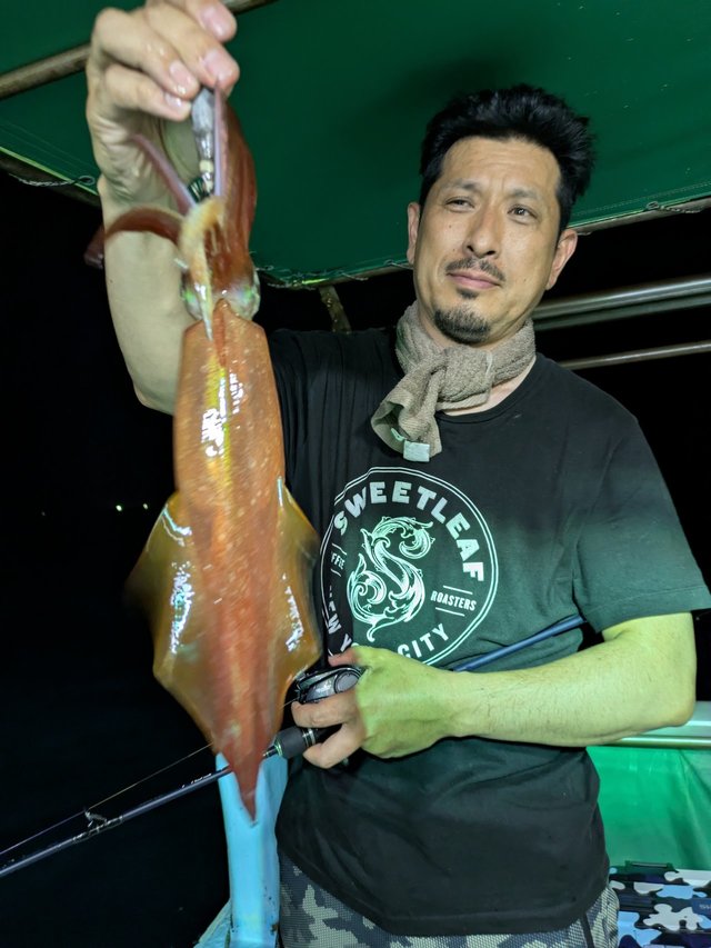 イカ(ケンサキイカ)