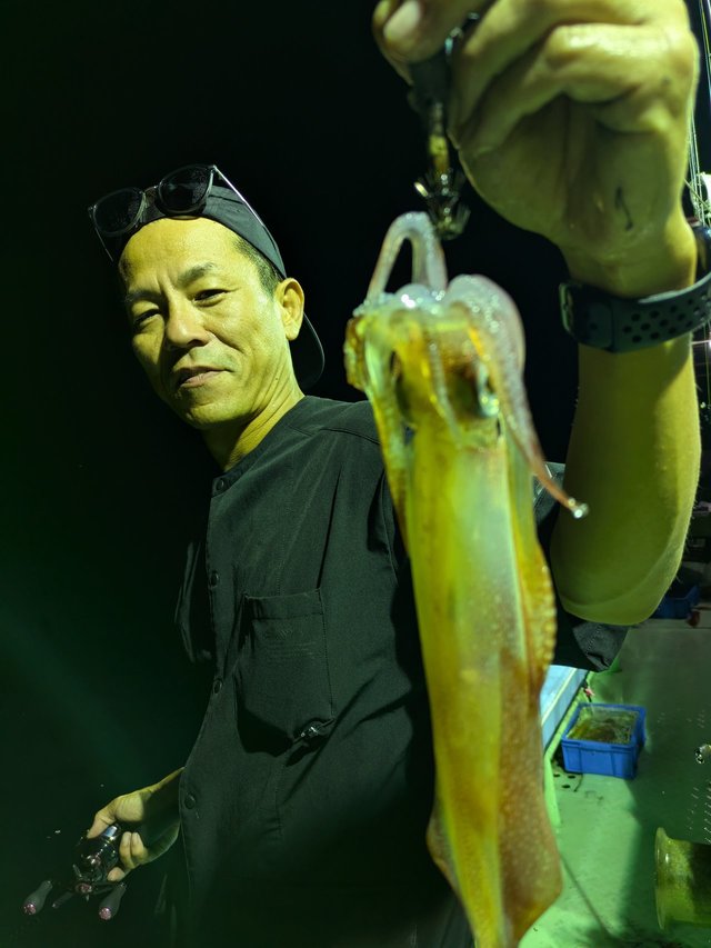 イカ(ケンサキイカ)