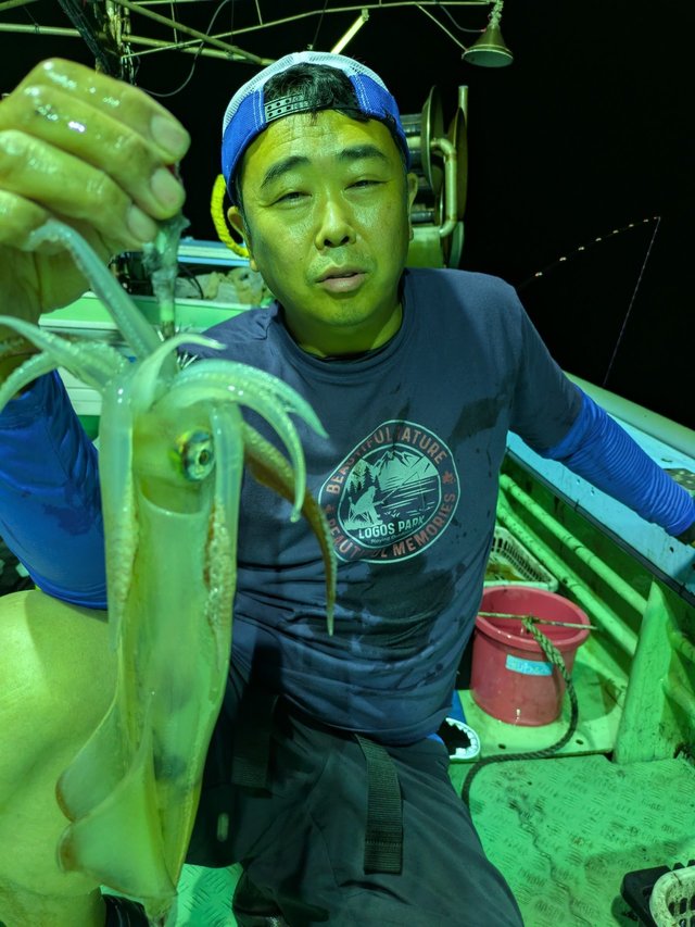 イカ(ケンサキイカ)