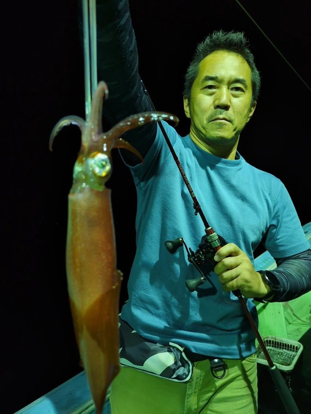 イカ(ケンサキイカ)