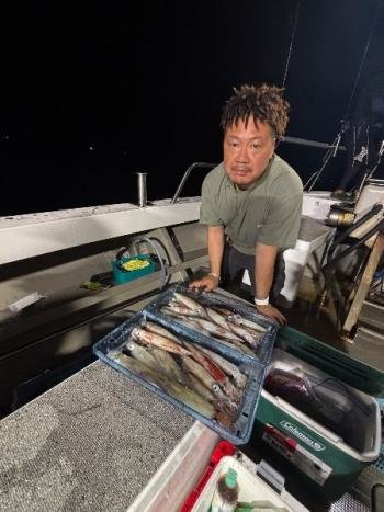 マイカ(ケンサキイカ)