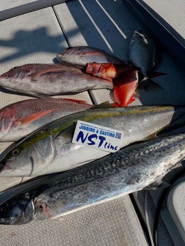 マダイ・アカイサキ・ブリ・サワラ