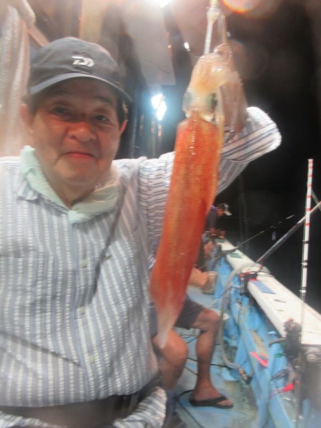 マイカ(ケンサキイカ)