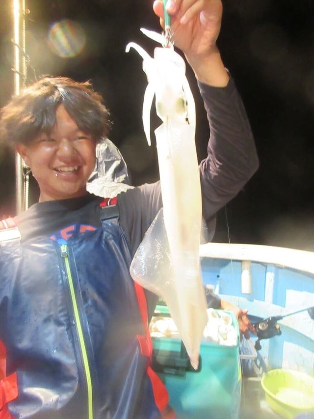 マイカ(ケンサキイカ)