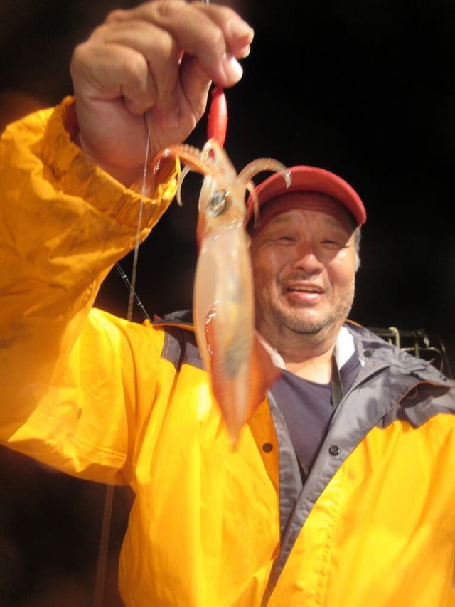 マイカ(ケンサキイカ)