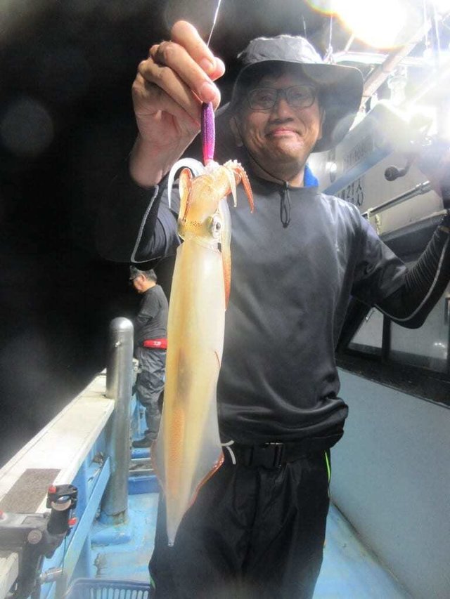 マイカ(ケンサキイカ)