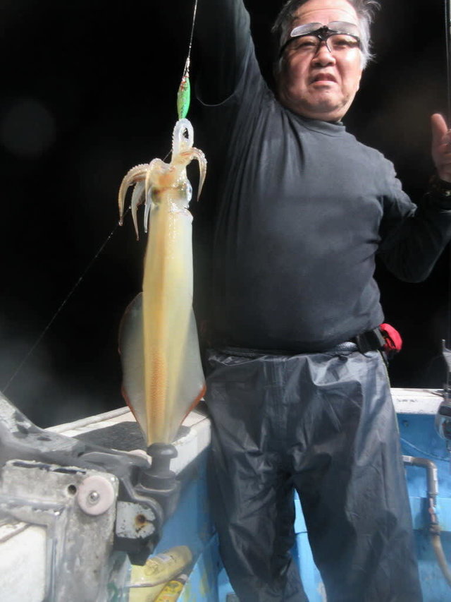 マイカ(ケンサキイカ)