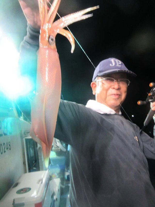 マイカ(ケンサキイカ)