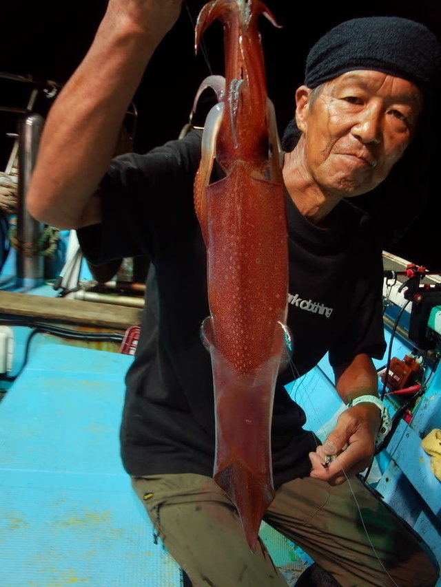 マイカ(ケンサキイカ)