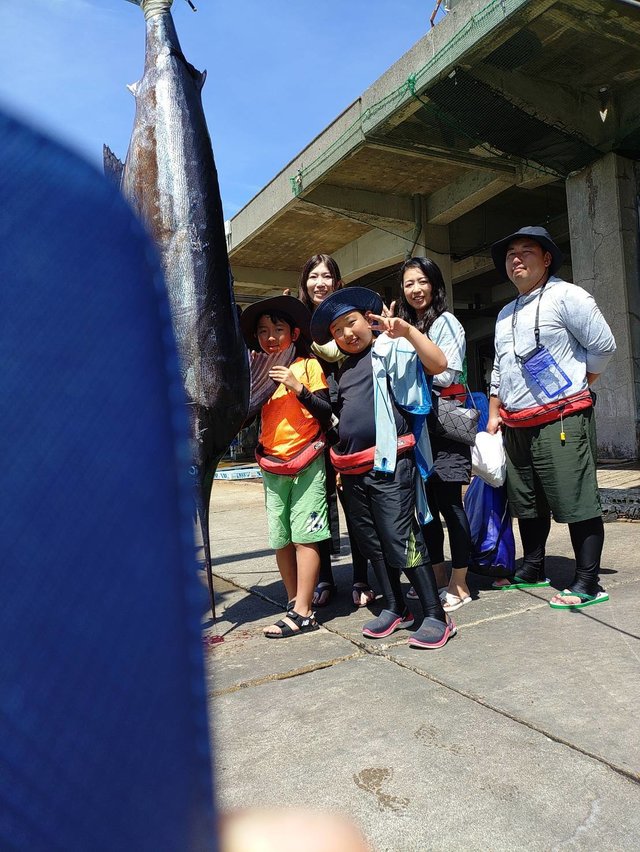 カジキ(マカジキ)