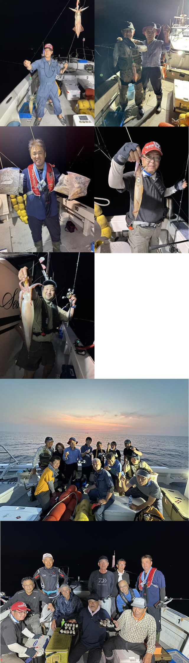 イカ(ヤリイカ)