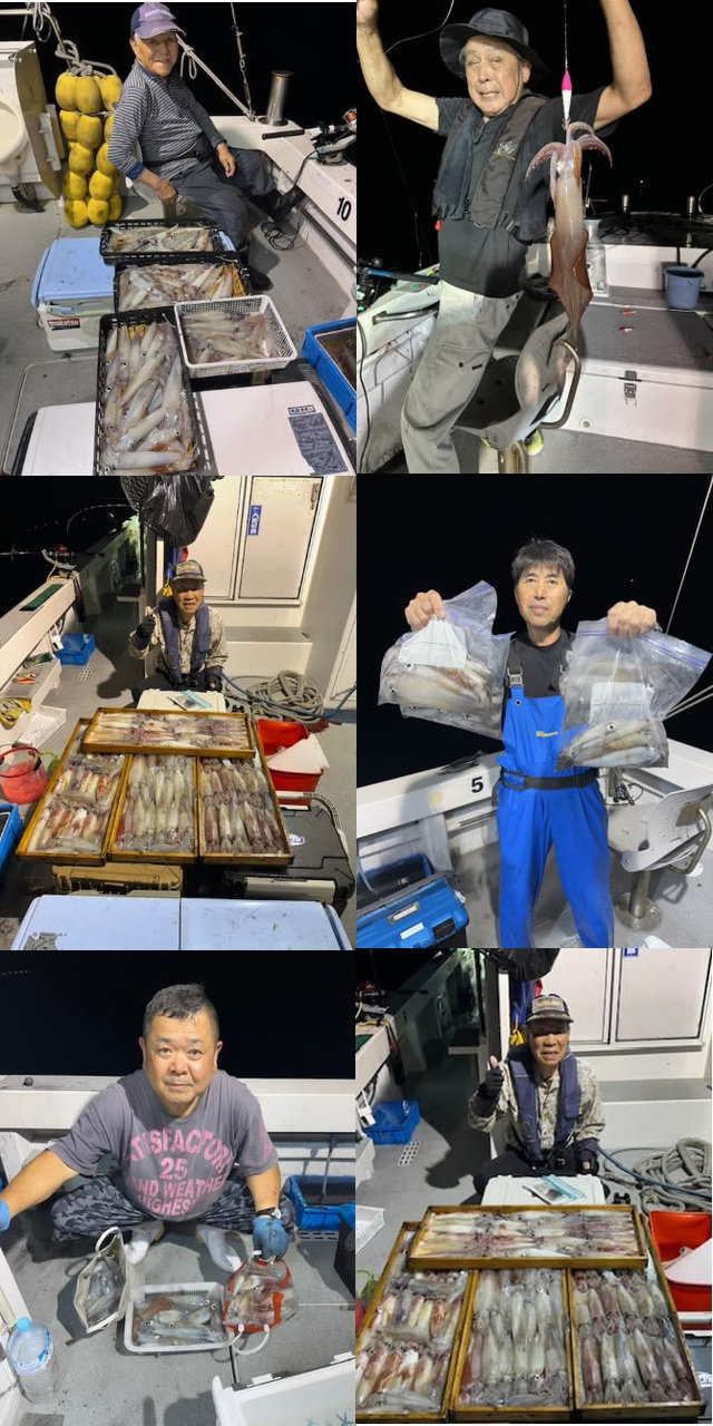 イカ(ヤリイカ)