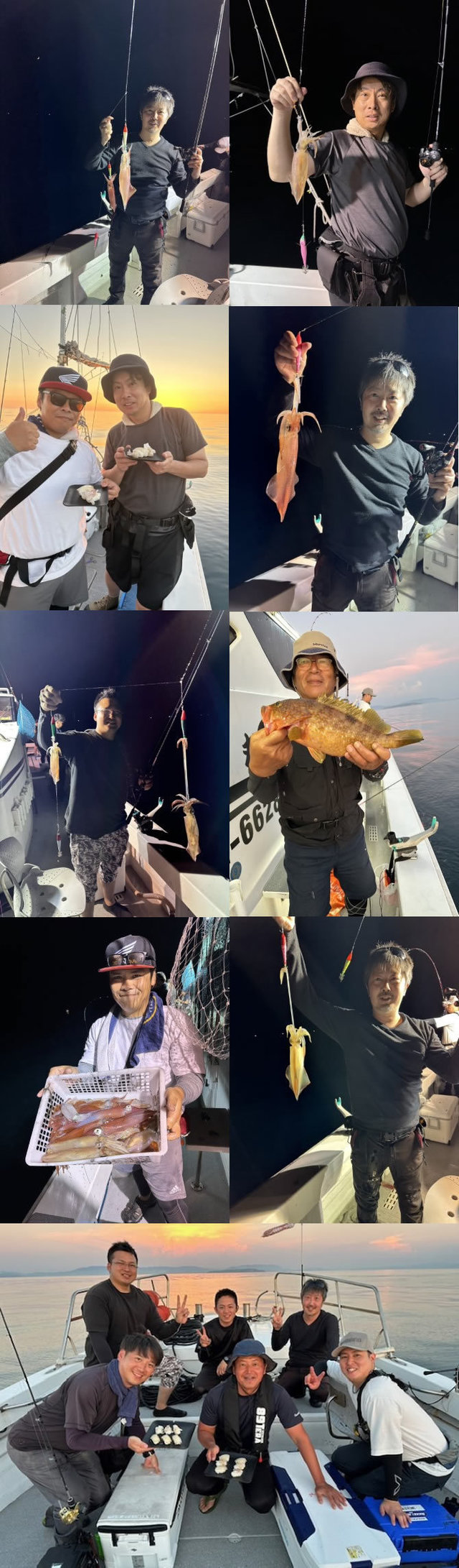 アコウ(キジハタ)・イカ(ヤリイカ)