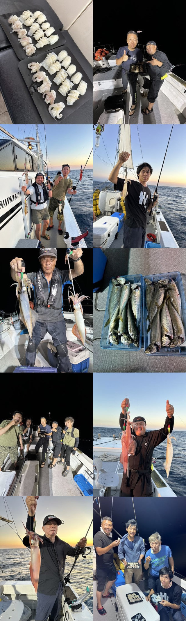 イカ(ヤリイカ)