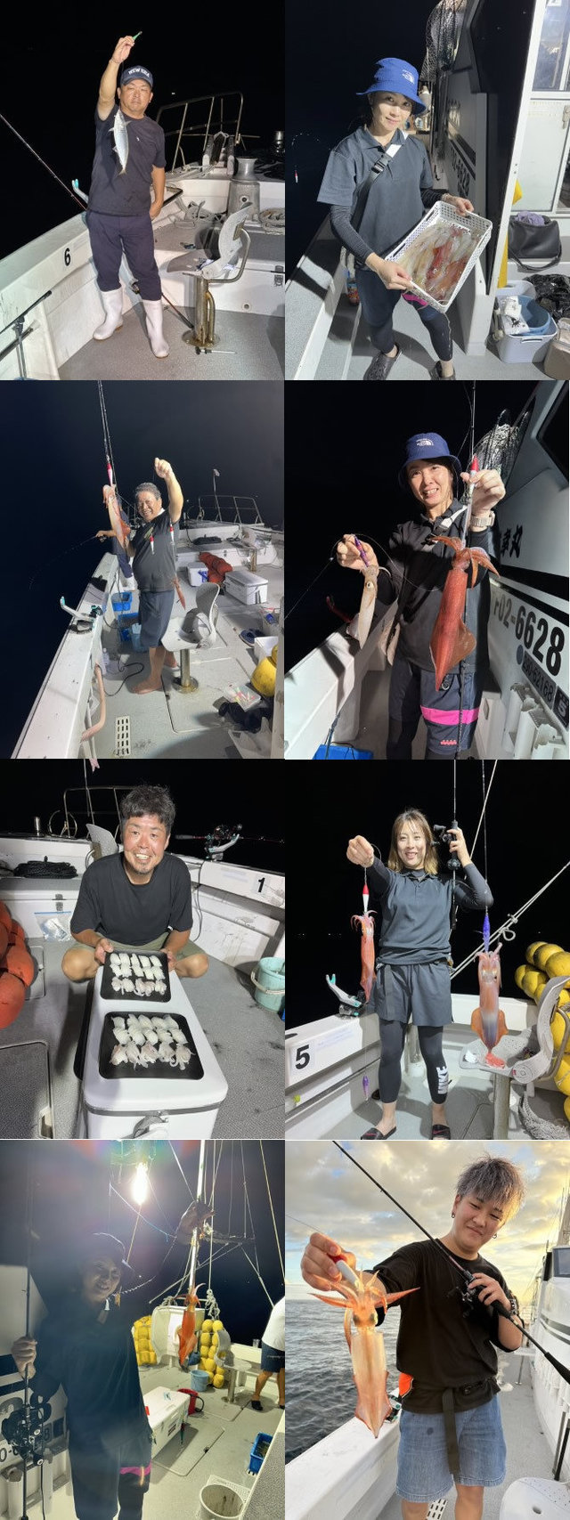 イカ(ヤリイカ)