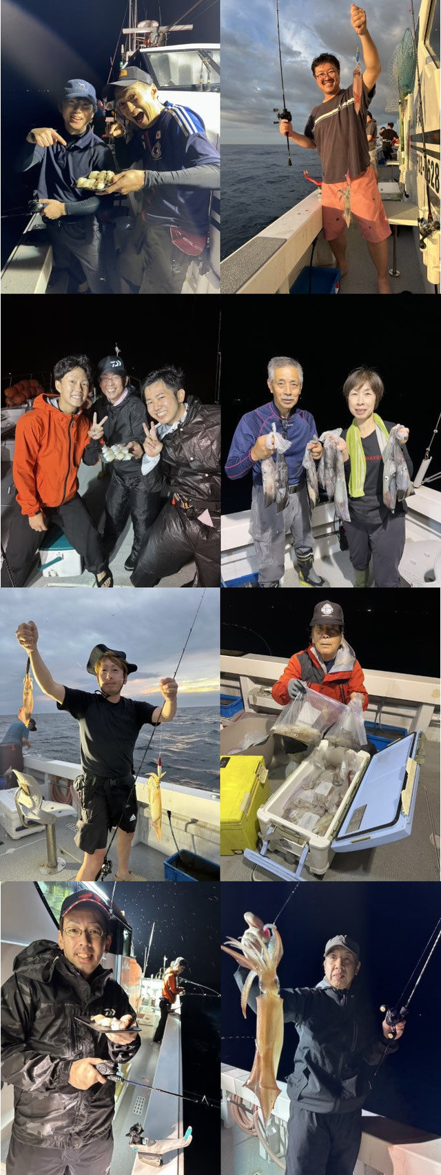 イカ(ヤリイカ)