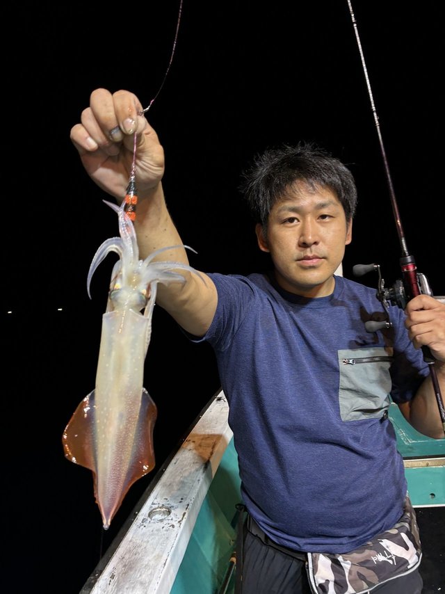 アカイカ(ケンサキイカ)