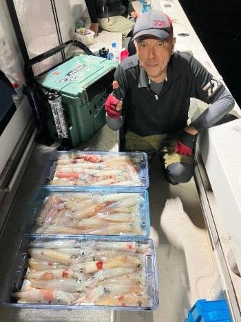 マイカ(ケンサキイカ)