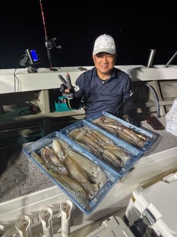 マイカ(ケンサキイカ)