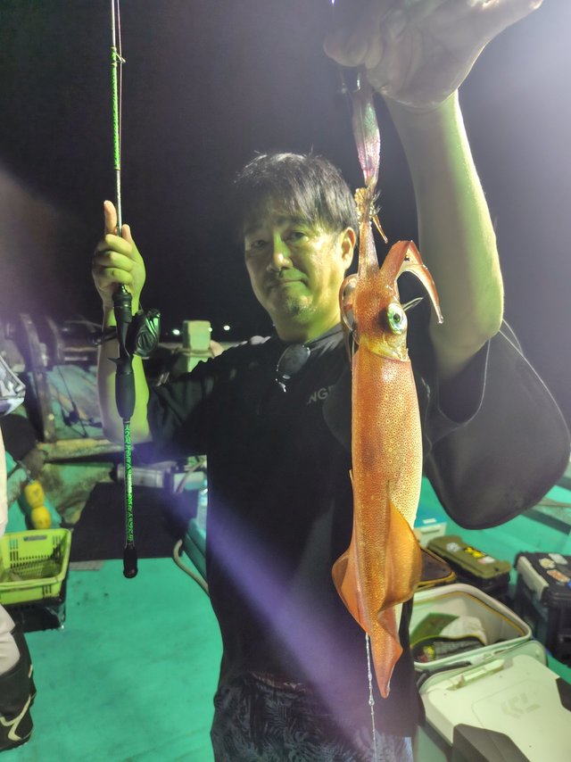 シロイカ(ケンサキイカ)