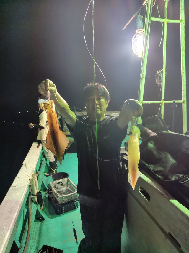 シロイカ(ケンサキイカ)