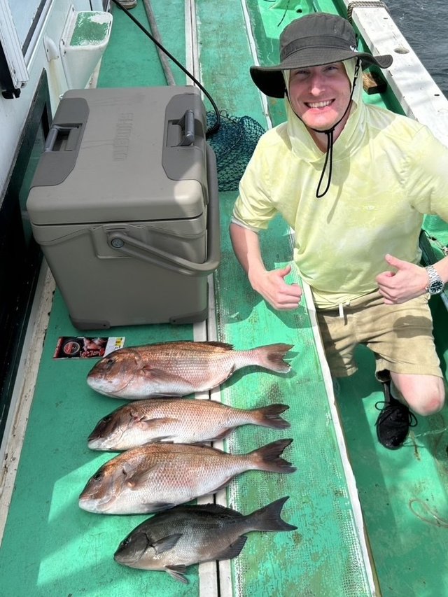 マダイ・メジナ