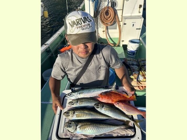 アジ(マアジ)・イトヨリ(イトヨリダイ)・アヤメカサゴ・サバ(ゴマサバ)